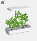 Hydroponic Smart Plant Pot - Techifty