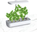 Hydroponic Smart Plant Pot - Techifty