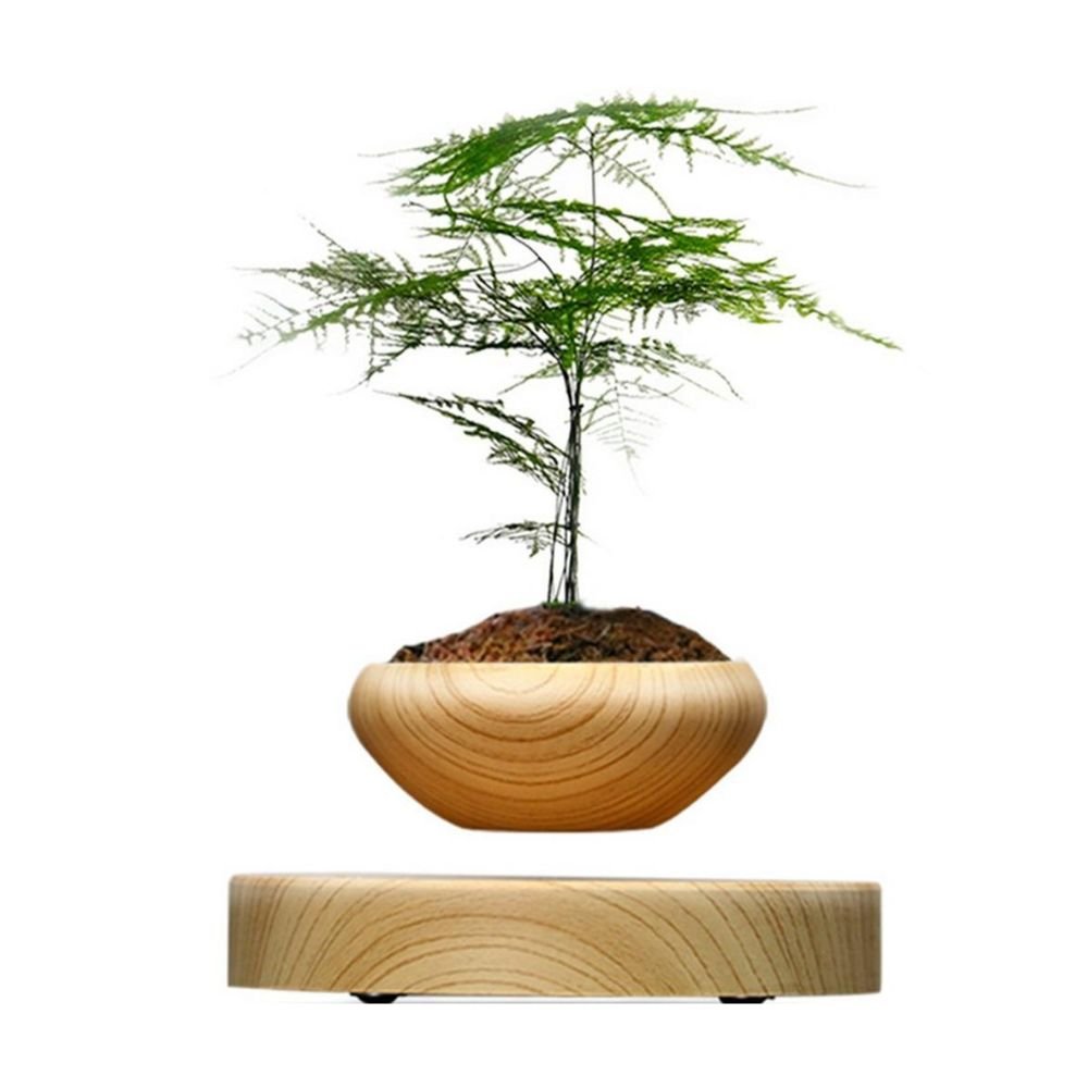 Magnetic Levitating Plant Pot - Techifty